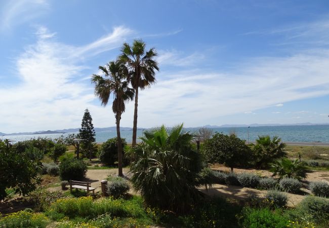 Apartamento en La Manga del Mar Menor - Dos Mares 2-6-8E Admer Apartamento en La Manga del Mar Menor - Dos Mares 2-6-8E Admer