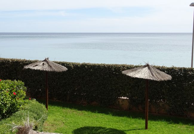 Apartamento en La Manga del Mar Menor - P.Cormorán2-2-6-5 Admer Apartamento en La Manga del Mar Menor - P.Cormorán2-2-6-5 Admer