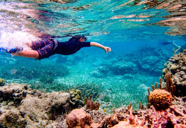 Apartamento en La Manga del Mar Menor - Aldeas Taray 235 Admer Apartamento en La Manga del Mar Menor - Aldeas Taray 235 Admer