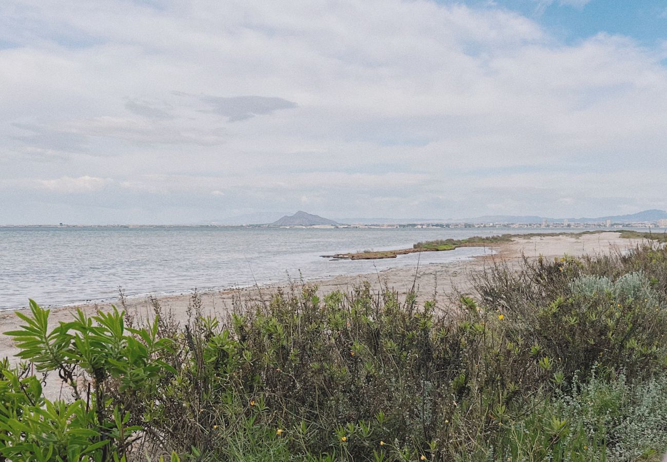 Apartamento en La Manga del Mar Menor - Arenales 116