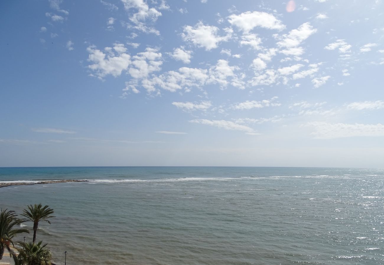 Apartamento en La Manga del Mar Menor - P.Cormorán1-1-6-1