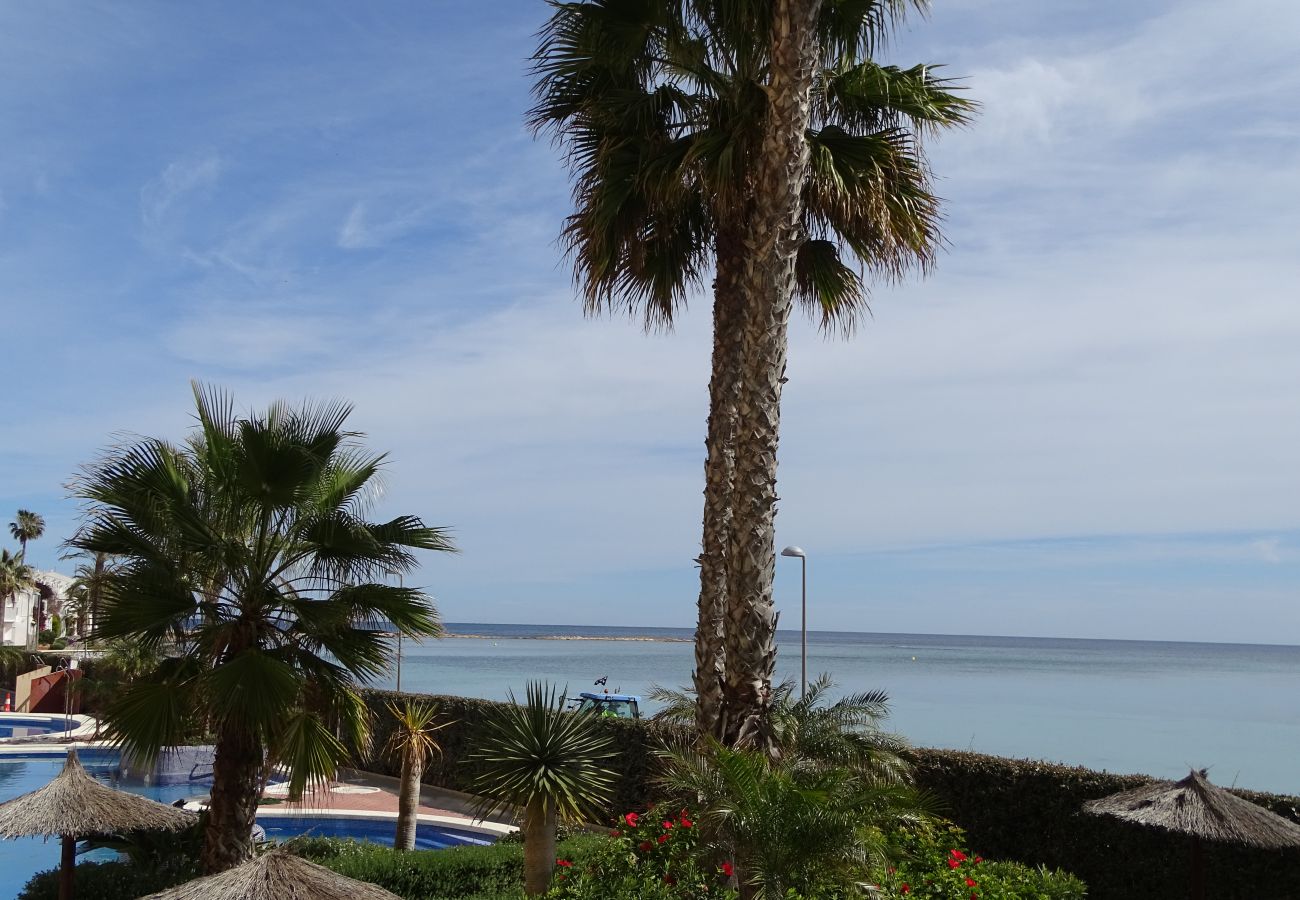 Apartamento en La Manga del Mar Menor - P.Cormorán1-1-6-1