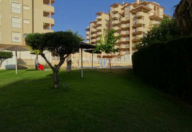 Apartamento en La Manga del Mar Menor - C. Veneziola  A-5ºJ Admer