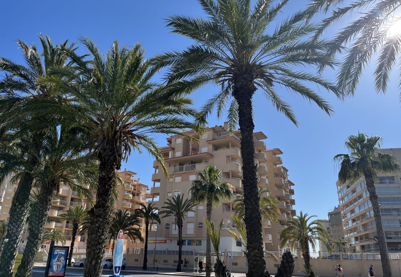 Apartamento en La Manga del Mar Menor - C. Veneziola A 6ºF