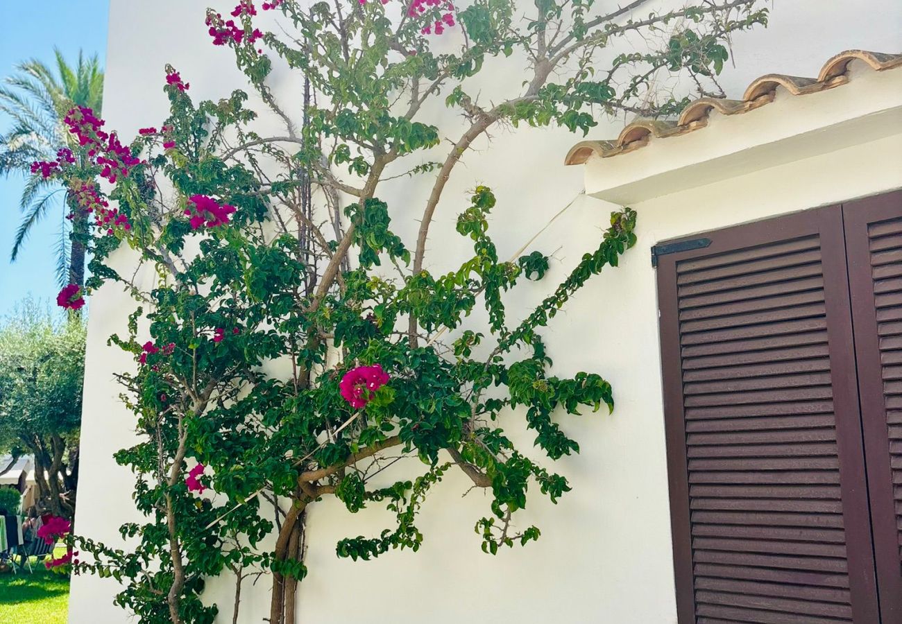 Apartamento en La Manga del Mar Menor - Aldeas taray 372 Admer