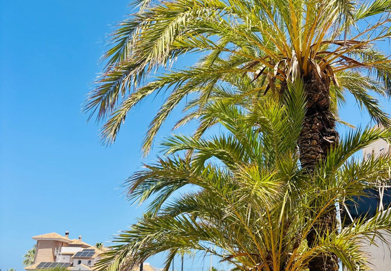 Apartamento en La Manga del Mar Menor - Aldeas taray 372 Admer