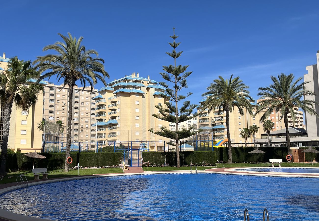 Apartamento en La Manga del Mar Menor - Miradores del Puerto B7-3ºG Admer