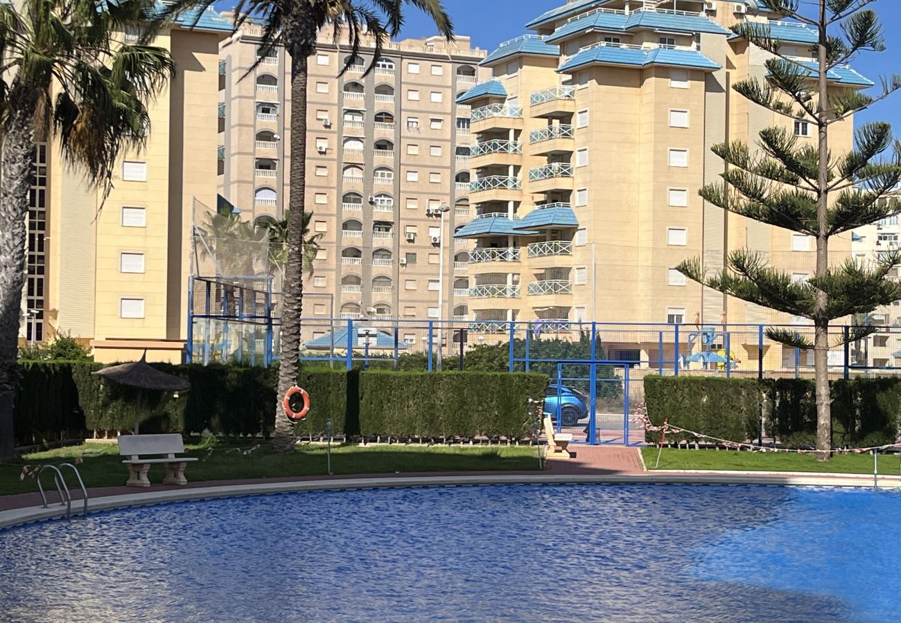 Apartamento en La Manga del Mar Menor - Miradores del Puerto B7-3ºG Admer